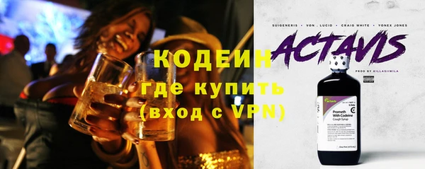 дживик Ельня