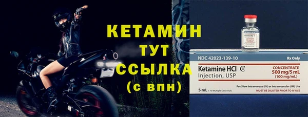 дживик Ельня