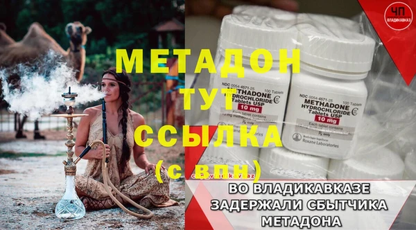 дживик Ельня