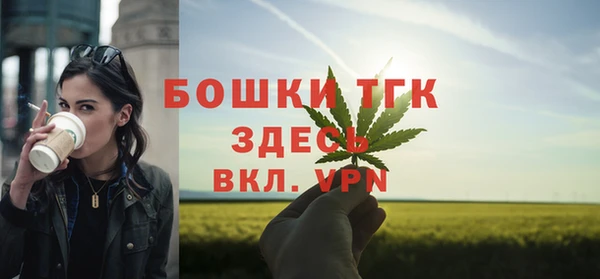 метадон Фёдоровский