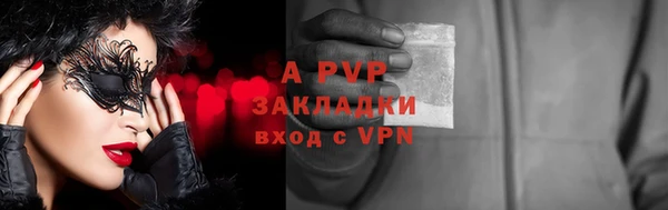 дживик Ельня