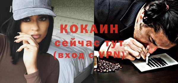 дживик Ельня