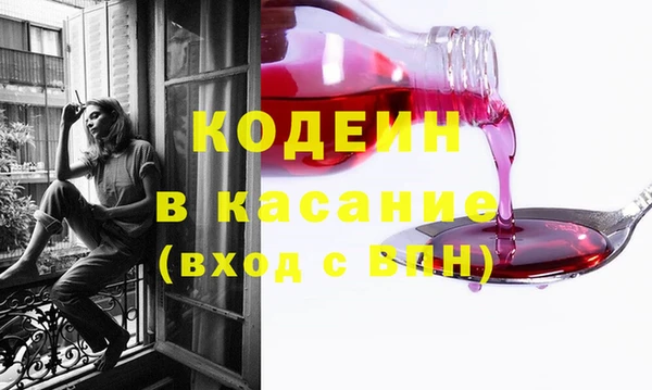 дживик Ельня