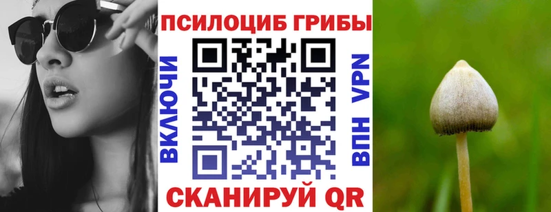 цена наркотик  Реж  Галлюциногенные грибы мицелий 